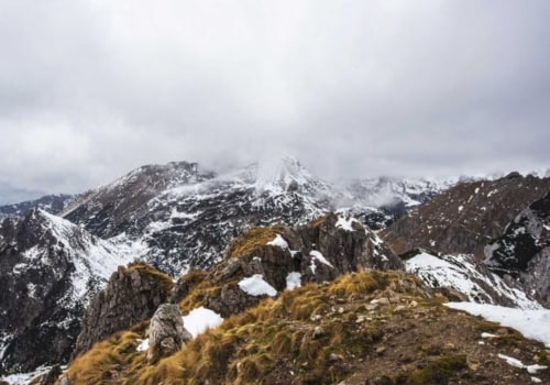 İbizabet: Güvenilir Mi? İnceleme ve Kullanıcı Yorumları