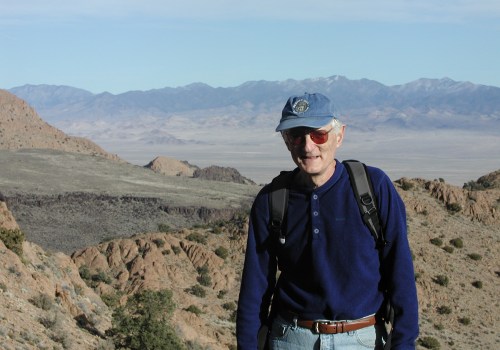 İbizabet'te Canlı Bahislerde En Yüksek Oranlar Hangi Liglerde Sunuluyor?